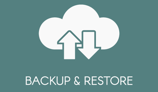 Backup & Restore: Ensure a smooth transition from V22 to V23